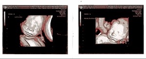 20131022-105650.jpg